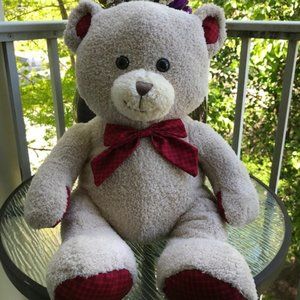 ❤️NWOT -SUPER Soft - Teddy Bear (20in x 15in)
